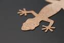 Green Label: Gecko z korka | © RATHGEBER GmbH & Co. KG